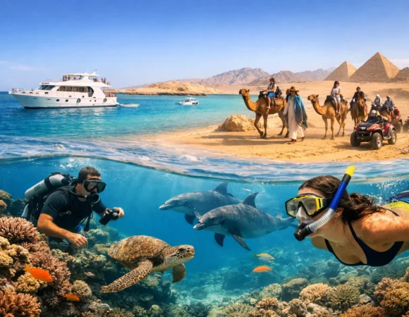How to Choose Scuba Diving Trips in Hurghada