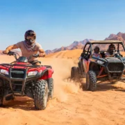 Quad Bike vs Dune Buggy: Which Desert Ride?