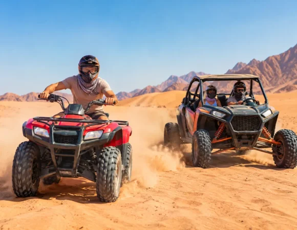 Quad Bike vs Dune Buggy: Which Desert Ride?