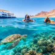 Royal Seascope Tour Guide: What to Expect