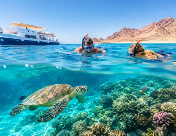 Royal Seascope Tour Guide: What to Expect