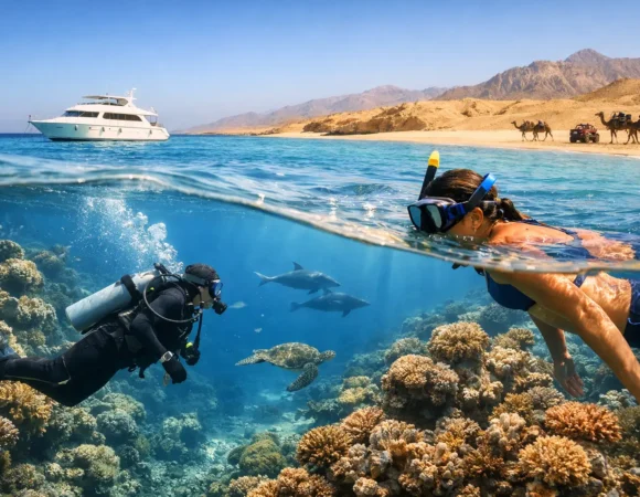 Scuba Versus Snorkeling for Your Red Sea Day