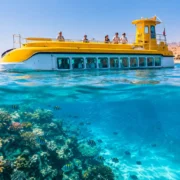 Semi Submarine Tour Review: Is It Worth It?