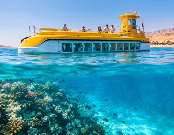 Semi Submarine Tour Review: Is It Worth It?
