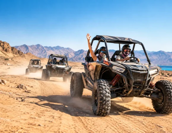 Desert Buggy Tour Review: What to Expect