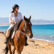 Horse Riding Basics for Your Hurghada First Ride