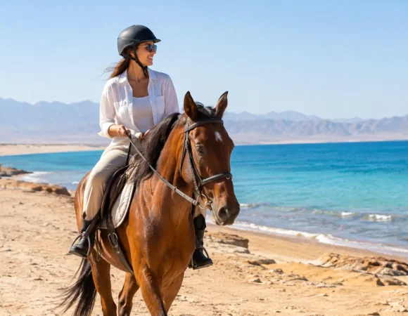 Horse Riding Basics for Your Hurghada First Ride