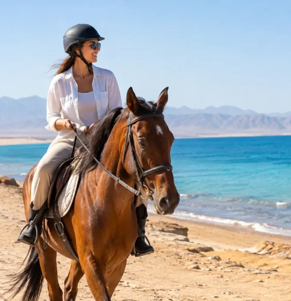 Horse Riding Basics for Your Hurghada First Ride