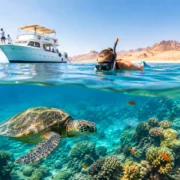 How to Combine Safari Snorkeling in Hurghada