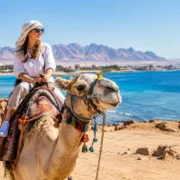 Is Camel Riding in Hurghada Right for You?