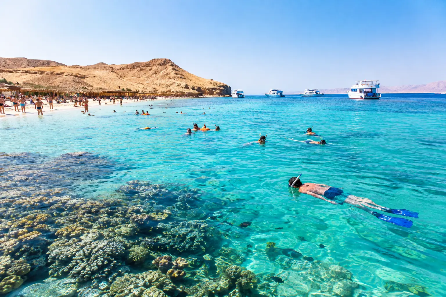 Orange Bay Crowds: Are They Worth the Trip?