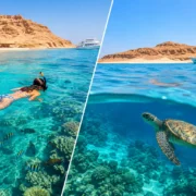 Orange Bay versus Giftun - Which Suits You?