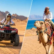 Quad Biking Versus Camel: Choose Your Safari