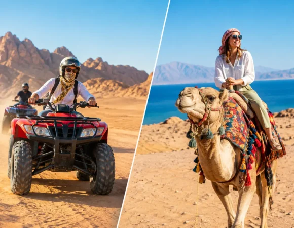 Quad Biking Versus Camel: Choose Your Safari
