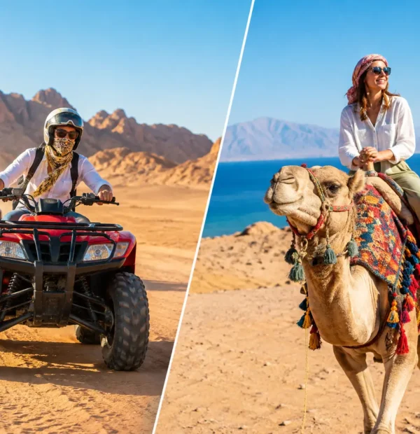 Quad Biking Versus Camel: Choose Your Safari