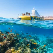 Semi Submarine Experience Guide for Hurghada
