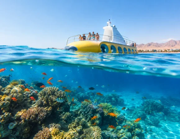 Semi Submarine Experience Guide for Hurghada