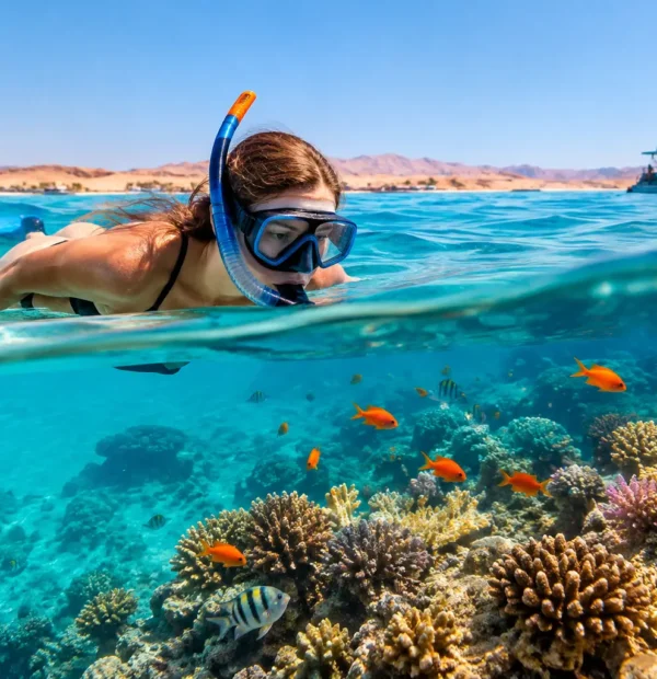 Snorkeling Diving in Hurghada: Which Fits You?