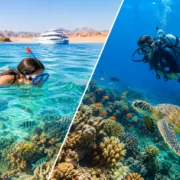 Snorkeling vs Diving in Hurghada: Which Fits Your Trip