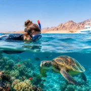 Sustainable Red Sea Excursions That Respect the Reef